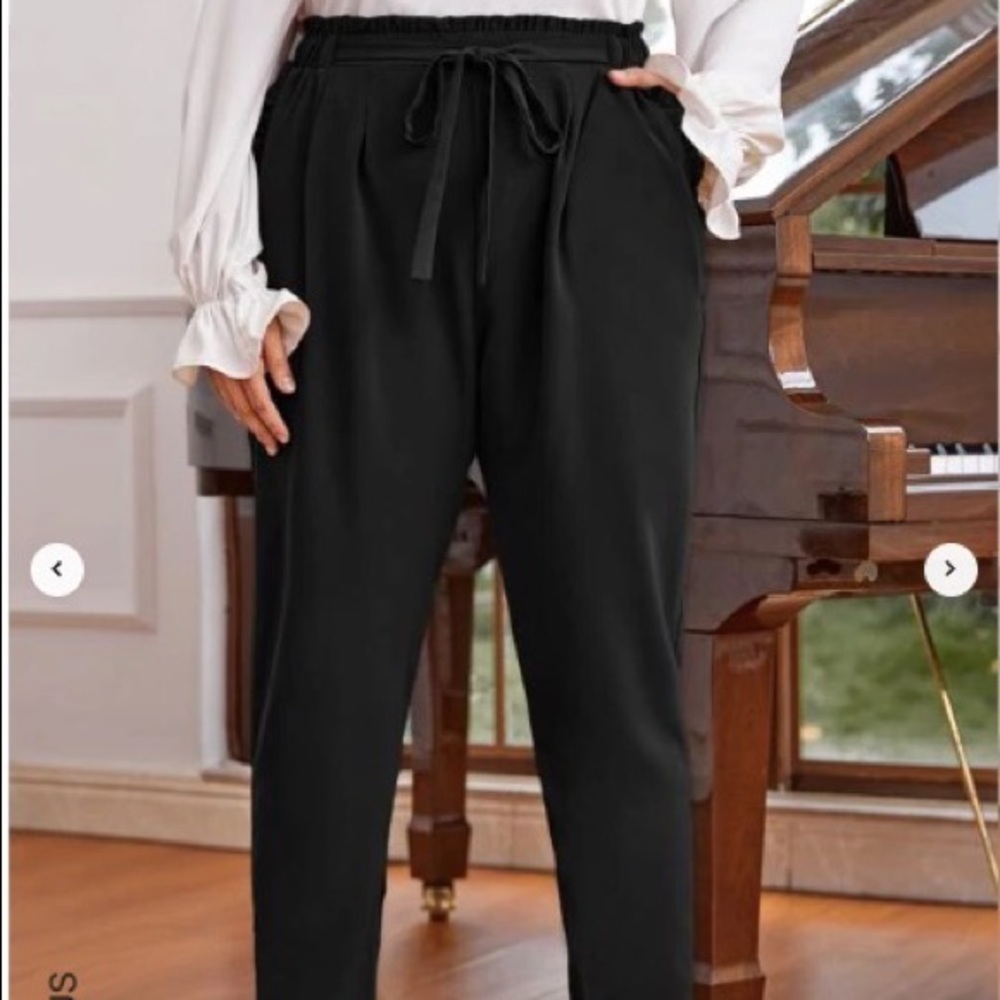 Paperbag Waist Belted Carrot Pants